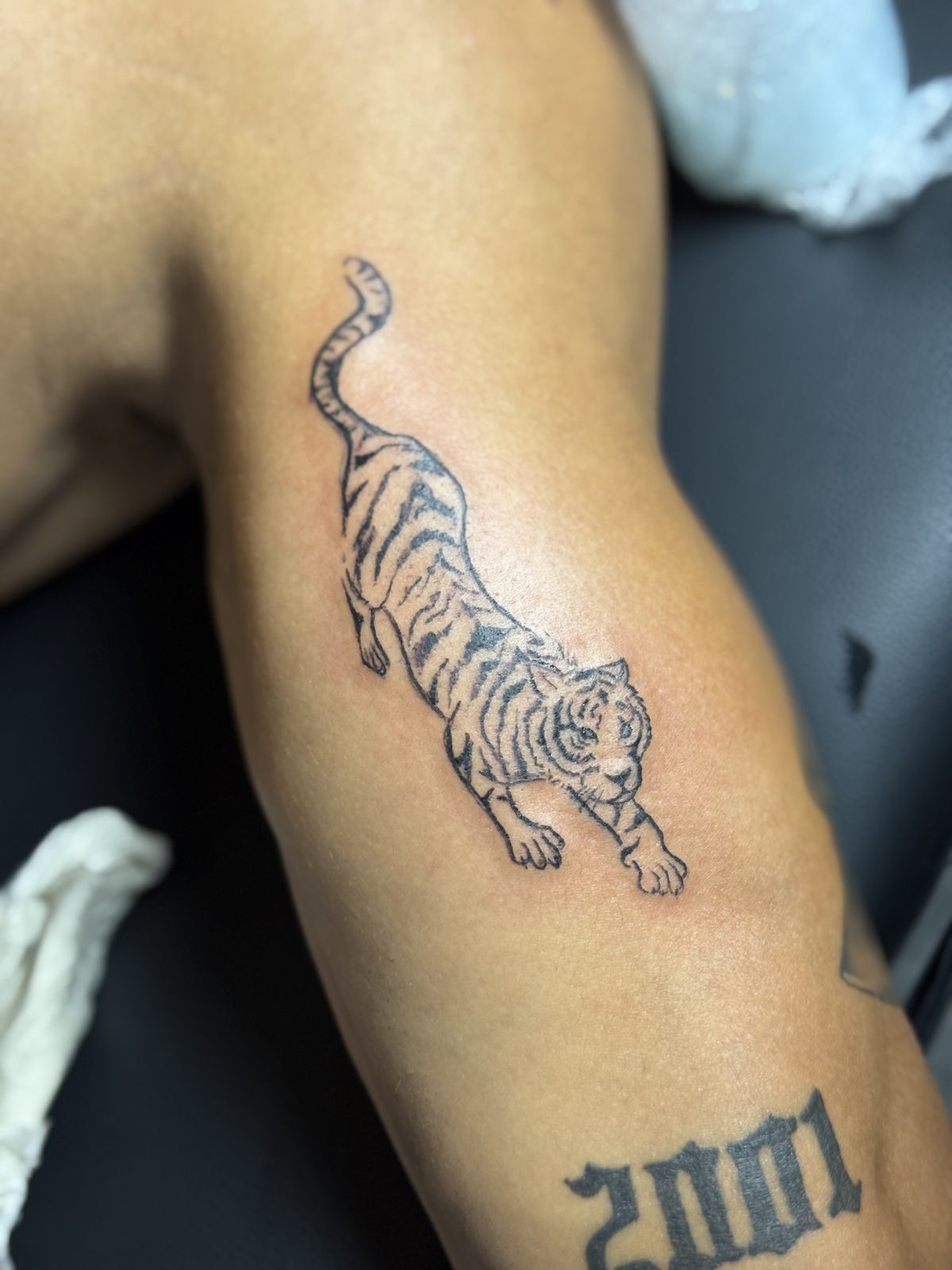 Blackwork tatoeage: witte tijger, bovenarm